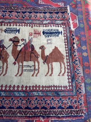  shadah rug? Special design size:124x87-cm ask                          