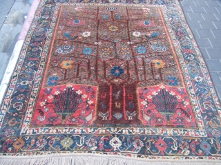 Antique shiraz Rug Carpet Wool tree of life 
Rare Hand Made 1900
Size:197x156-cm  / 77.5x61.4-inches The carpet has been fixed in some places(as you can see on the pictures)
Price:1000$ or Best Offer: 