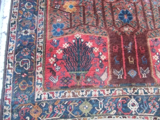 Antique shiraz Rug Carpet Wool tree of life 
Rare Hand Made 1900
Size:197x156-cm  / 77.5x61.4-inches The carpet has been fixed in some places(as you can see on the pictures)
Price:1000$ or Best Offer: 