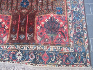 Antique shiraz Rug Carpet Wool tree of life 
Rare Hand Made 1900
Size:197x156-cm  / 77.5x61.4-inches The carpet has been fixed in some places(as you can see on the pictures)
Price:1000$ or Best Offer: 