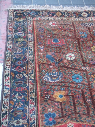 Antique shiraz Rug Carpet Wool tree of life 
Rare Hand Made 1900
Size:197x156-cm  / 77.5x61.4-inches The carpet has been fixed in some places(as you can see on the pictures)
Price:1000$ or Best Offer: 