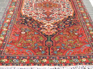 ANTIQUE!! Bakhtiar Persian Area Rug Carpet Hand Made
Size: 255x150-cm / 100.3x59.0-inches
Year: 1900
Medium: wool on cotton hand woven
                