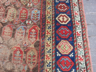 Caucasian Shirwan rug size:230x102-cm 90.5x40.1-inches 
ask                           