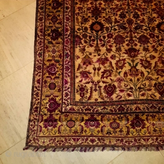 Fine top quality exceptional pure silk antique Farahan rug

10000 Euro                       