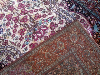 Magnificent, top quality pure silk Kashan rug.

203cm by 127cm

P.O.R
                        