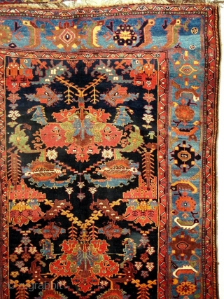 Old Bakhtiyari long rug 

Size:310x190cm

P.O.R                            