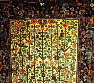 19th century Neyriz rug


SOLD

                             