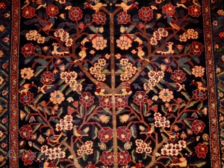 Antique Bakhtiyari rug

Size:270x190cm

P.O.R                              