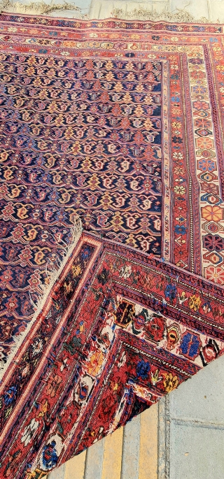 Antique Sumac Afshar kilim


Perfect condition,rare design and size.

193x174cm

P.O.R                         