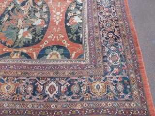 Antique Ziegler Mahal 465x363 cm, beautiful colors and drawings.                        