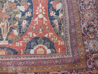 Antique Ziegler Mahal 465x363 cm, beautiful colors and drawings.                        