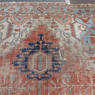 Beautiful Antique Serapi 555 x 355 cm, elegant rug                        