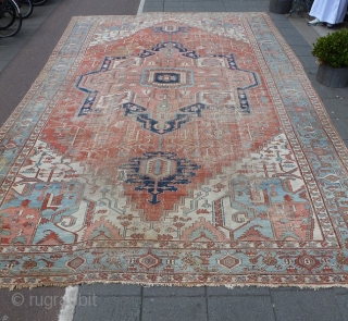 Beautiful Antique Serapi 555 x 355 cm, elegant rug                        