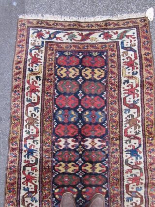 KURDISH RUNNER

300 X 106 CM

High pile.
Side border reduced                         