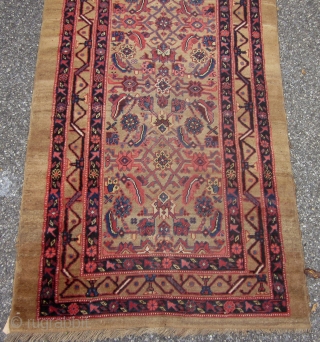 ANTIQUE SARAB HAMADAN LONG RUG
450 CM X 100 CM
SOME WEAR. REFER TO PHOTOS                    