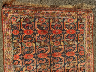 Antique Afshar carpet

Part of end border missing
 
168 x 107 cm
                      