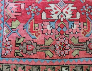 Antique Caucasian Rug-Runner -Shirvan 3.5 Ft. x 10 Ft.
This antique all wool Caucasian runner is in very good to excellent condition. It has a nice even pile except the black wool in  ...