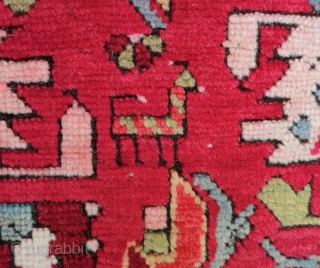 Antique Caucasian Rug-Runner -Shirvan 3.5 Ft. x 10 Ft.
This antique all wool Caucasian runner is in very good to excellent condition. It has a nice even pile except the black wool in  ...