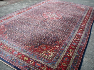 Antique Bidjar 18 x 11 ft 
Fantastique oversize Bidjar rug from castle in southern Germany. Hardly ever walked on, exquisit condition. More pictures and price - please contact me.    