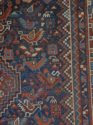 Khamseh Bird rug 
4.1x4.10
all wool and natural dyes 
late 19th 
                      