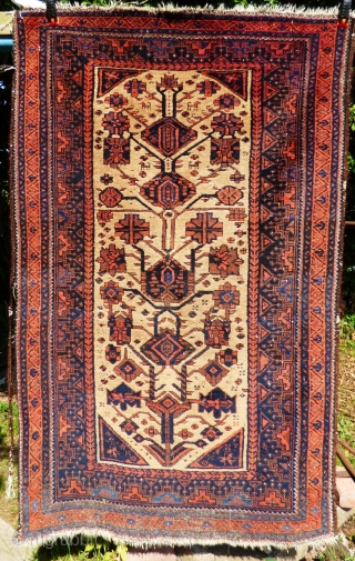 Baluch Tree of Life Rug - Sheep wool and natural camel hair on wool foundation
Age: Late 19th century
Condition: Good even pile except for wear lower end, sides and ends original, side cords  ...