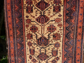 Baluch Tree of Life Rug - Sheep wool and natural camel hair on wool foundation
Age: Late 19th century
Condition: Good even pile except for wear lower end, sides and ends original, side cords  ...