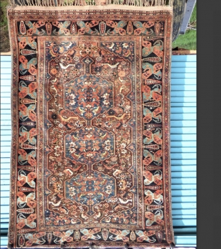 Khamseh carpet, end of the 19th century. Lovely palette of natural colours. Sides and full Kilim ends original. Minor wear in places, one area of minor localised moth damage, no structural damage.  ...