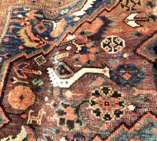 Khamseh carpet, end of the 19th century. Lovely palette of natural colours. Sides and full Kilim ends original. Minor wear in places, one area of minor localised moth damage, no structural damage.  ...