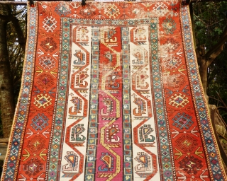 Caucasian Karabagh or Gengie. Distressed state - low pile and very worn areas - see photos. Great funky colours and palate.

Wool on wool
Size: 9' 3" x 4'      