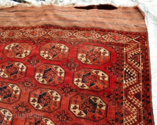 Turkmen Kizil Ayak Main Carpet. Sides ends original. Minor wear and staining in places - see pictures. Mid 19th Century.

Size: 350 x 227 cm

the carpet is in good condition for age, except  ...