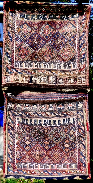 Complete Luri-Bakhtiari khorjin in very good condition, complete with plain-weave back in narrow horizonal bands of colour - see photos. Size: 42 inches x 21 inches 107cm x 53cm

Shipping is included in  ...