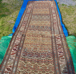 Attractive N W Persian runner, in ‘country house’ condition: overall uneven wear, sides and ends wearing in one or two places. Size:460cm x 115cm. Affordable        