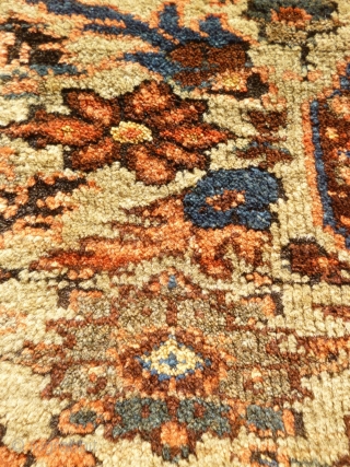 Lovely antique Bidjar rug, 180cm x 155cm. Nice squarish format, harking back to Afshar ancestors. 

Great palette of organic colours, including: ice blue (abrashed), olive green, rust red, brown, mustard yellow, ivory,  ...