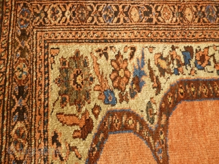 Lovely antique Bidjar rug, 180cm x 155cm. Nice squarish format, harking back to Afshar ancestors. 

Great palette of organic colours, including: ice blue (abrashed), olive green, rust red, brown, mustard yellow, ivory,  ...