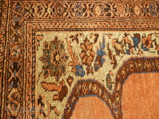 Lovely antique Bidjar rug, 180cm x 155cm. Nice squarish format, harking back to Afshar ancestors. 

Great palette of organic colours, including: ice blue (abrashed), olive green, rust red, brown, mustard yellow, ivory,  ...