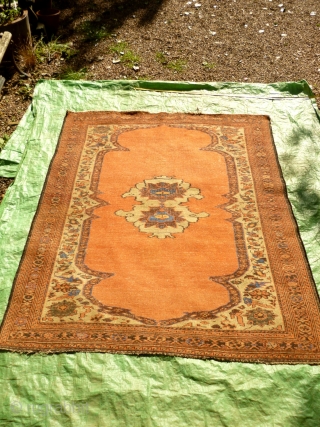 Lovely antique Bidjar rug, 180cm x 155cm. Nice squarish format, harking back to Afshar ancestors. 

Great palette of organic colours, including: ice blue (abrashed), olive green, rust red, brown, mustard yellow, ivory,  ...