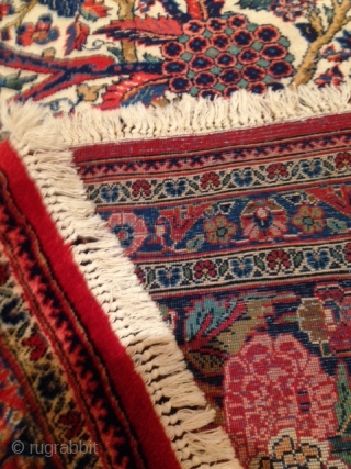 RUG NO	:	84
SIZE	:	315x522cm
TYPE	:	Qazvin circa 1910
ORIGIN	:	iran Qazvin  city
DESIGN	:	
CONTENT	:	kork wool
BACKGROUND COLOUR	:	ivory
BORDER COLOUR	:	multi

PRODUCT DESCRIPTION

pretty Qazvin carpet.fine and sturdy.
shiny  kork wool,very hard to find.
real Qazvin not a kashan or otherwise.
      