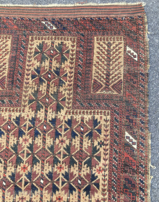 c.1890 Belouch prayer rug measuring approx 3 x 5.7…..field is fine (lt. wear); edges need attention…checks drawn on U.S. banks preferred….thanks to RR for providing this site….
Ed Briggs…….. 207 967 3357 or  ...