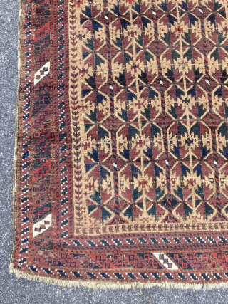 c.1890 Belouch prayer rug measuring approx 3 x 5.7…..field is fine (lt. wear); edges need attention…checks drawn on U.S. banks preferred….thanks to RR for providing this site….
Ed Briggs…….. 207 967 3357 or  ...