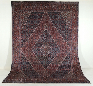 Tabriz 1900 ca. cm 360x250/ about 12"x8,22. low pile.                        