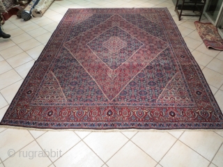 Tabriz 1900 ca. cm 360x250/ about 12"x8,22. low pile.                        