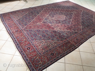 Tabriz 1900 ca. cm 360x250/ about 12"x8,22. low pile.                        