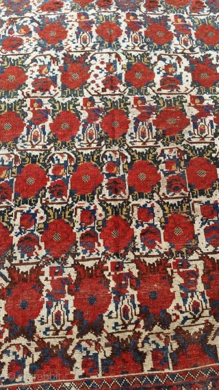  Khamseh gul farang from qashqai confederation. cm 180x141. wool on wool. Both end missing.                  