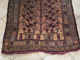 Attractive Kurd rug. low pile in some little portion of the field; a litlle cut on the near the head border as you can note on the pictures. Synthetic colors.  20th  ...
