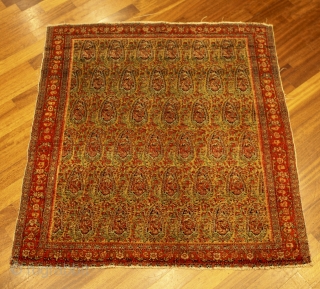 Antique Senneh cm 114x107. Rare size & beautiful colors. Professionally washed. Extra fine  knotted.                  