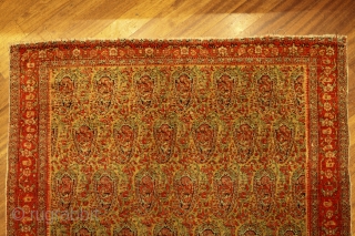 Antique Senneh cm 114x107. Rare size & beautiful colors. Professionally washed. Extra fine  knotted.                  