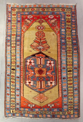 Bijar cm 165x115. Lovely colours, piece with an unusual design. In general very good condition.                  