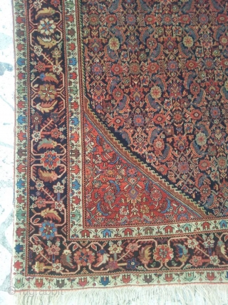 Ferahan all over herati design. In pile. Nice and well combined colours. It need to wash and some little repairs on the corners adn in the middle of the field. The carpet  ...