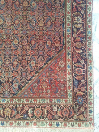 Ferahan all over herati design. In pile. Nice and well combined colours. It need to wash and some little repairs on the corners adn in the middle of the field. The carpet  ...
