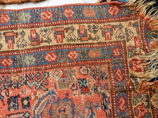 Kurd Bijar Halvai saddle cover. As you can see from the pictures it's damaged and it has chemical pink... Good for a restorer or for a collector. Very soft wool.Also if the  ...